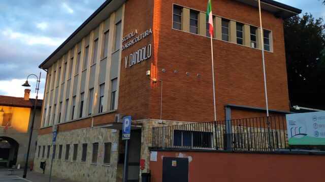 iisdandolo