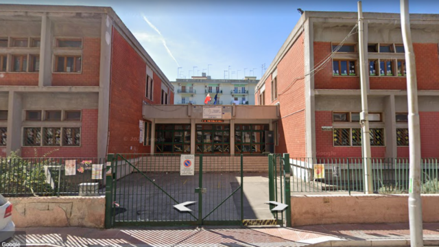 plesso-polibio